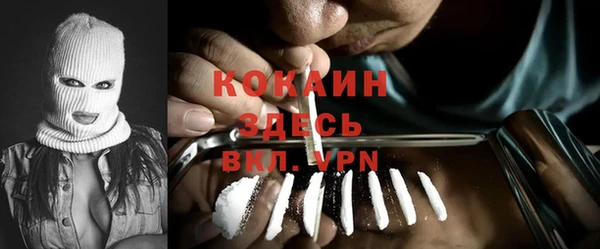 тгк Алексин