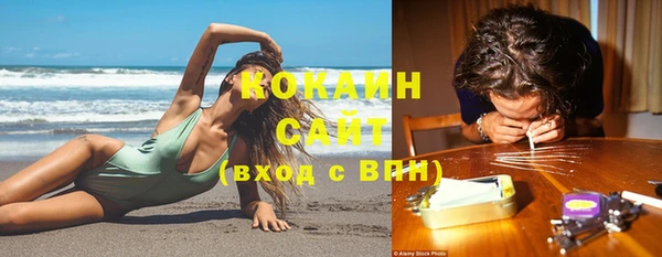 тгк Алексин