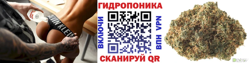 МАРИХУАНА семена Белоярский